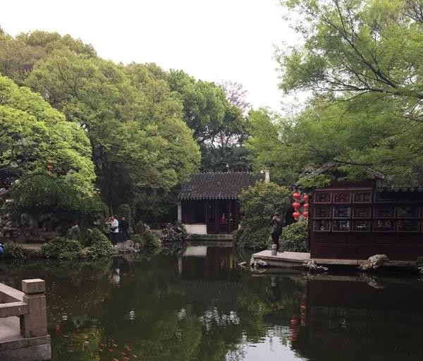 1594028798351956.jpg 3.jpg