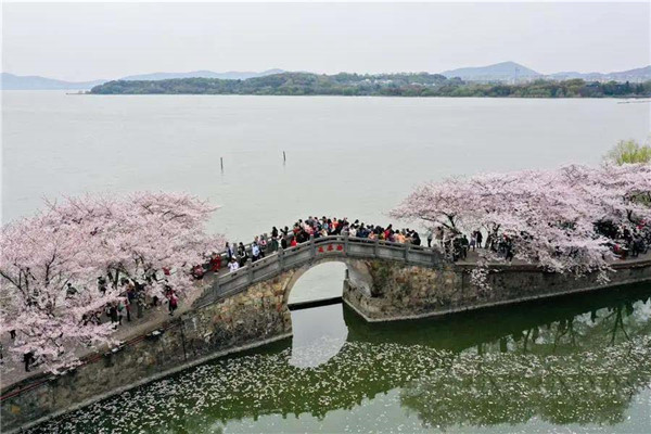 1594028829796561.jpg 5.jpg