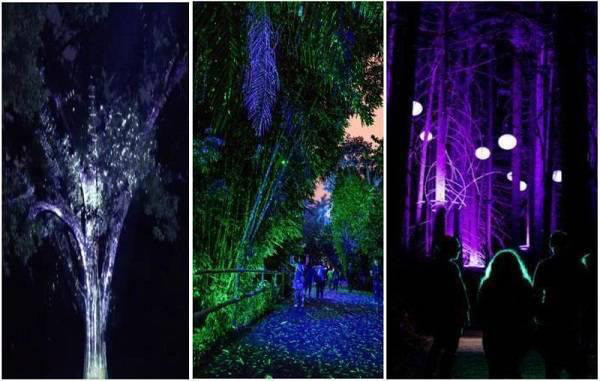 1598870447294767.jpg 5882b2b7d0a20cf49c971acdb4be7a31adaf99d8.jpg