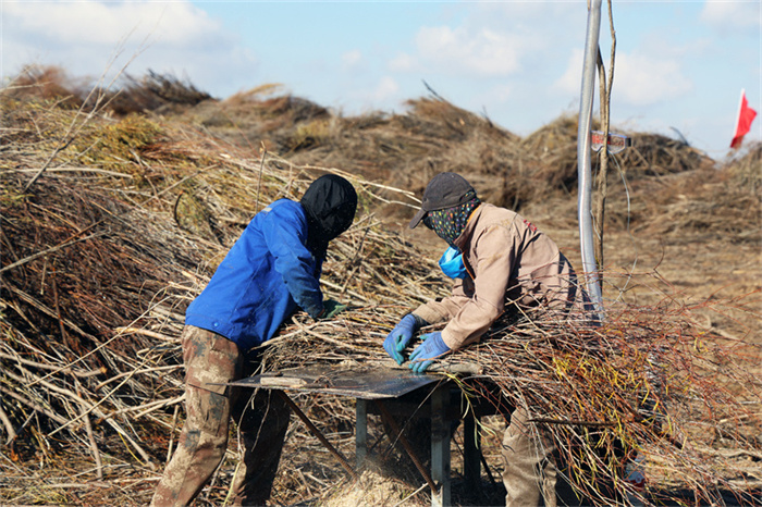 1732264581470079.jpg 1.jpg