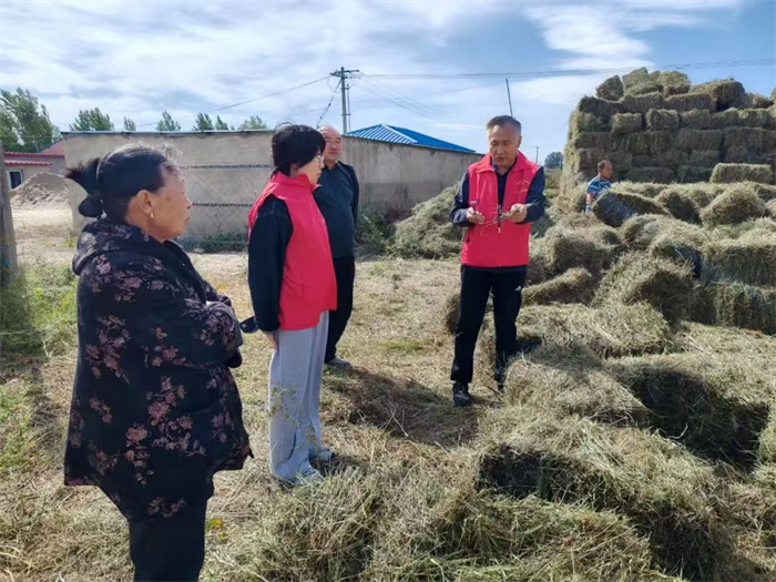 1733214132820443.jpg 1.jpg