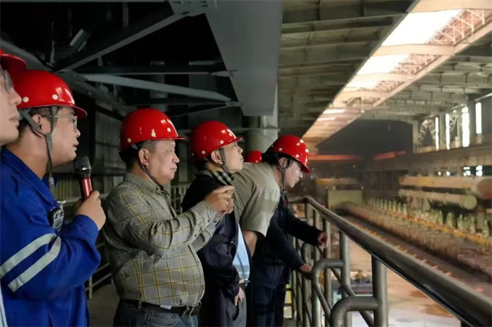 1733214153352860.jpg 5.jpg