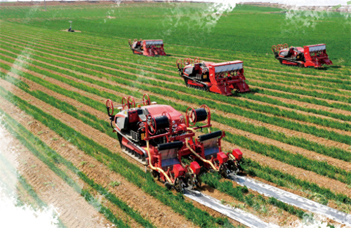 1733365398222861.jpg 11.jpg