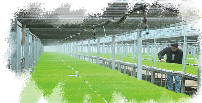 1733365414957586.jpg 44.jpg