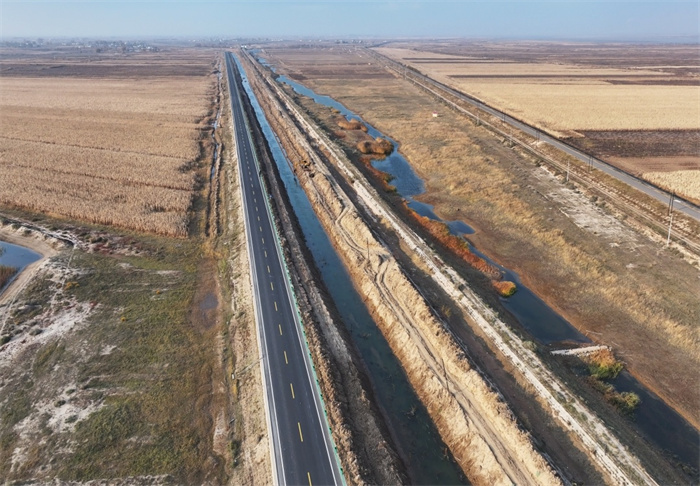 1733485262111047.jpg 1.jpg