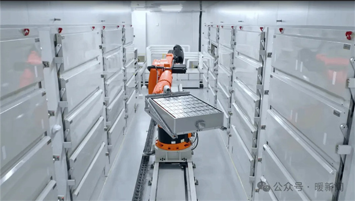 1735981233235555.jpg 5.jpg