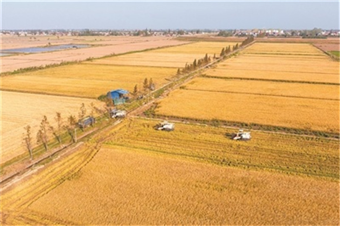 1739955741625165.jpg 89ce7d4f3b0b4ee38df84c03a3d4b206.jpg