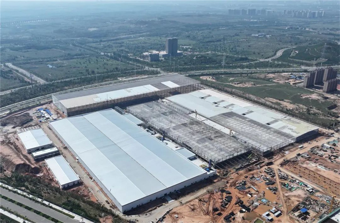 1741429541411125.jpg 1.jpg