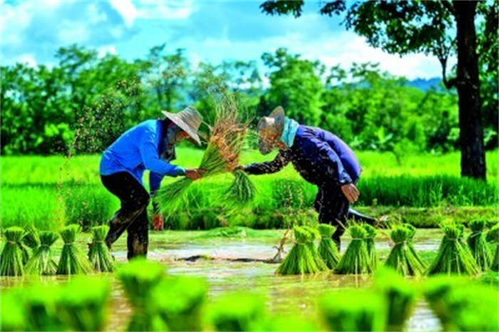 1742526588668240.jpg 333.jpg