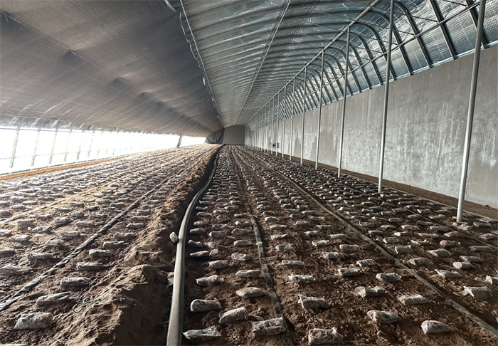 1742894005858268.jpg 2.jpg