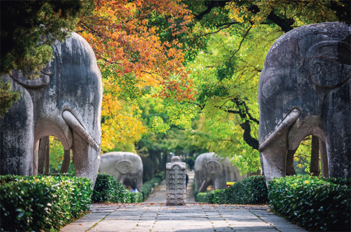 1744702834138773.jpg 222.jpg