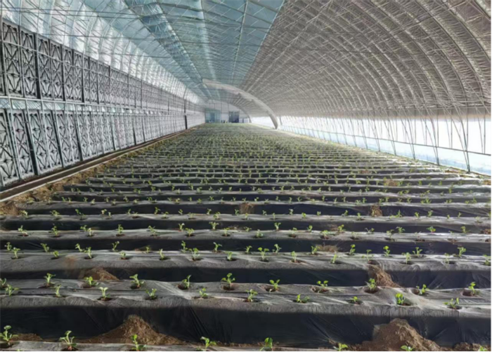 1745312508635794.png 3333.png