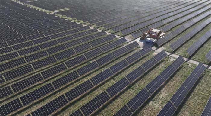 1747365439119322.jpg 55.jpg