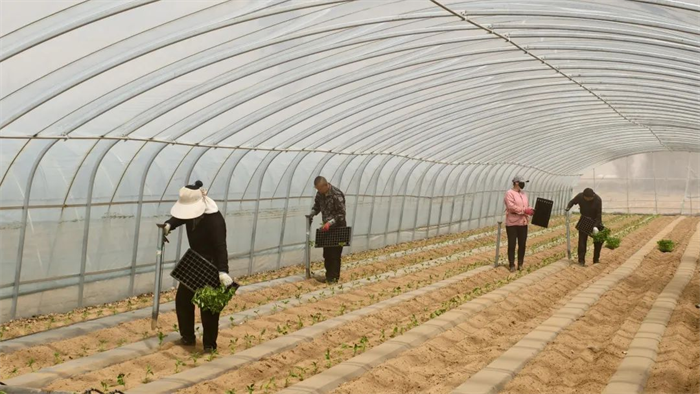 1747968668726548.png 2.png