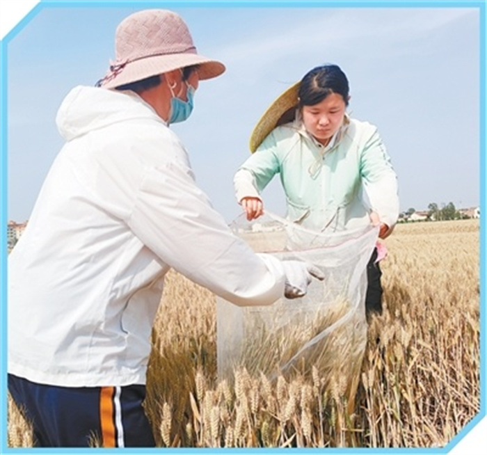 1749459748345028.jpg 1.jpg