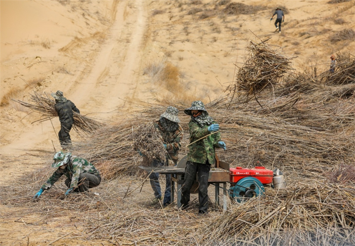 1750302200242311.jpg 11.jpg