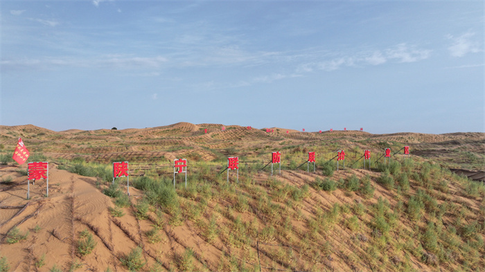 1750302393685625.jpg 1.jpg