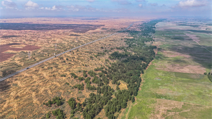 1750302404134689.jpg 3.jpg